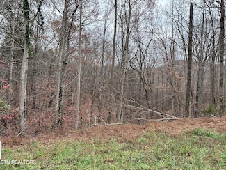 0 Cheyenne Dr Unit 1283898, Jamestown, TN 38556