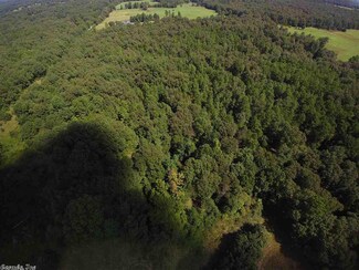 40 Acres Lawrence Road 319, Strawberry, AR 72469