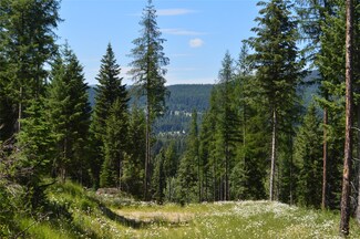 Nhn Logan Creek Rd, Whitefish, MT 59937