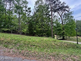 0 Maple Dr Unit 1298937, Spring City, TN 37381