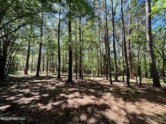 Lor 5 Robinson Rd the Crossroads, Canton, MS 39046