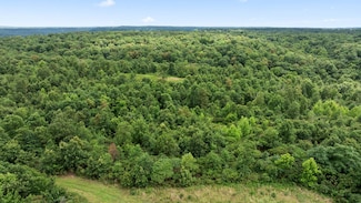 22.76 Acre Styles Rd, Noel, MO 64854