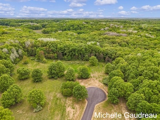 Parcel 6 Leaf Ln, Freeport, MI 49325