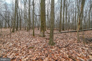 0 Stoverstown Lot #1 Unit PAYK2055590, Spring Grove, PA 17362