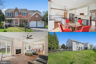 43871 Thomas Bridges Ct, Chantilly, VA 20152