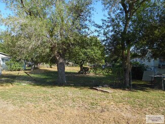 LOTS 28-29 Farm To Market 506, Sebastian, TX 78594