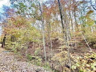 0 W Garretts Creek Rd, Westmoreland, TN 37186