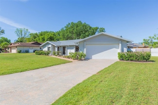 12208 Elsmere Ct, Thonotosassa, FL 33592