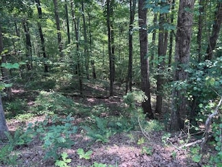 10090 Brazell Rd, Fairburn, GA 30213