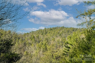 167 Shoal Creek Rd Unit 22, Green River, NC 28790