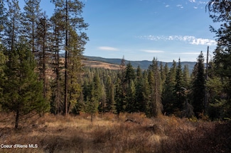 NNA Glacier Dr, St. Maries, ID 83861