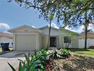 12343 Witheridge Dr, Tampa, FL 33624