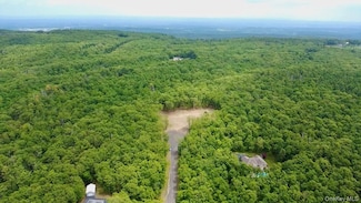 11 Rock Hill Rd, Earlton, NY 12058