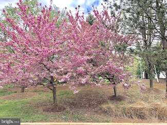 6402 Springview Place, Rockville, MD 20852