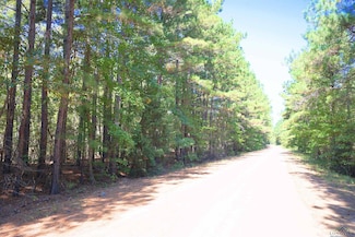 Tract 2 Cr 245 S, Kilgore, TX 75662