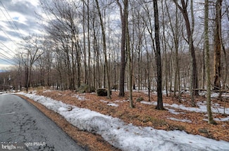 Lot 28 Eagle Path, Lehman Township, PA 18324