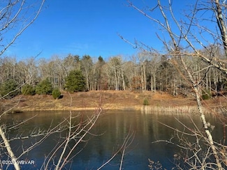 0 Moss Rd, Benton, PA 17814