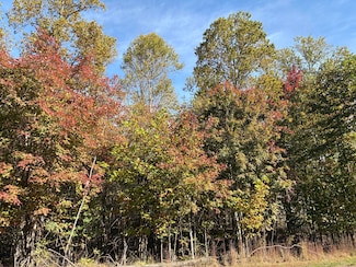 270 Volunteer St, Jasper, TN 37347