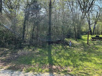 296 Martineque Ln, Point Blank, TX 77364