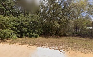 604 Kitty Ave, Interlachen, FL 32148