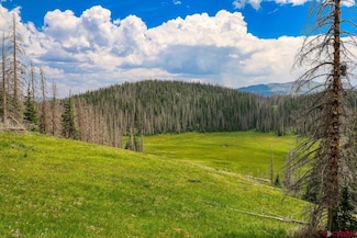 TBD Stunner Pass, Platoro, CO 81120