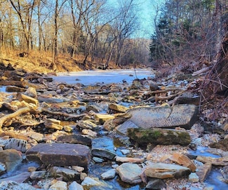 000 County Road 247, Vanzant, MO 65768