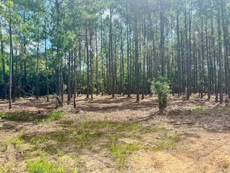 1465 County Road 716, Buna, TX 77612
