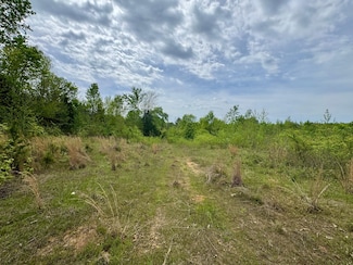0 County Road 2742, Naples, TX 75568