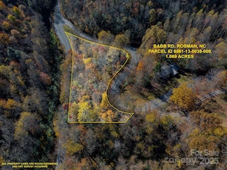 0 Babb Rd Unit CAR4317735, Rosman, NC 28772