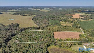 13.5 Acres County Road 687, Henagar, AL 35978