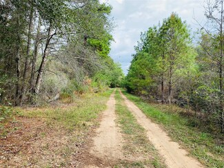 LOT 44 Owl Dr, Hempstead, TX 77445