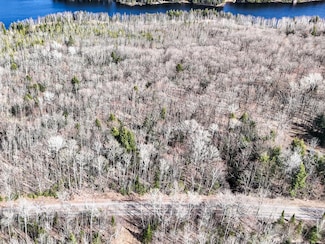 On Chaney Lake Rd, Bessemer Township, MI 49911