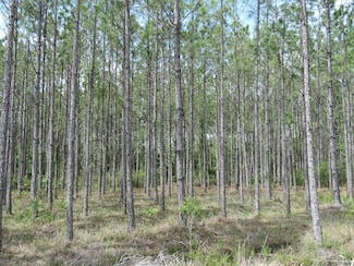 98 U S 19, Chiefland, FL 32626