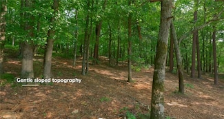 1095 Voss Hill Dr, King, NC 27021