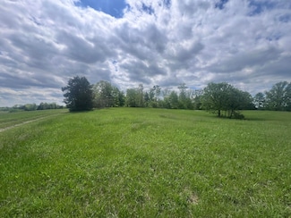 110 Witzel's Way, Mt. Olivet, KY 41064