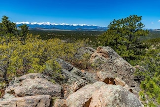 TR-17 White Wing Way, Cotopaxi, CO 81223