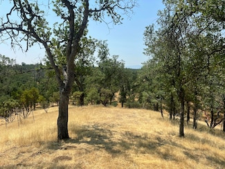 63 Little Oak Ln, Cottonwood, CA 96022