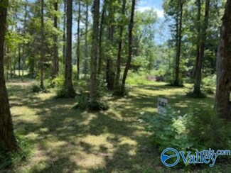 Lot 12 Kristi Ln, Grant, AL 35747