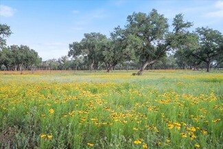 24900 Pedernales Canyon Trail, Spicewood, TX 78669