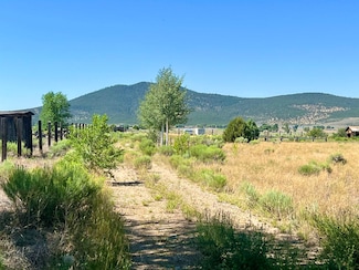 0 11 Acres Off Buena Vista Rd, Cerro, NM 87556