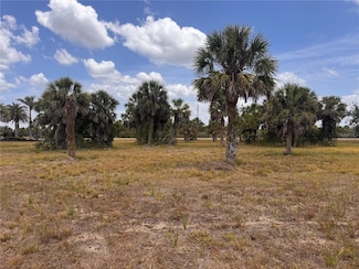 16 Redbud Ct, Meadows and Villas, FL 33946