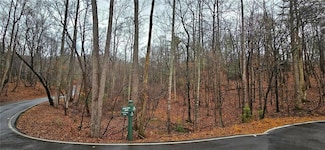 52 Fallen Deer Path, Big Canoe, GA 30143