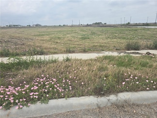 1685 Gemini Acres Dr, Corpus Christi, TX 78415