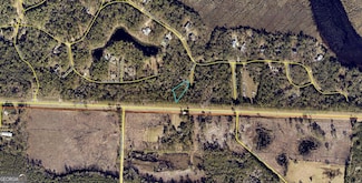 0 Merlin Ct, Waverly, GA 31565