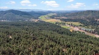 59 Timber Dr, Bayfield, CO 81122