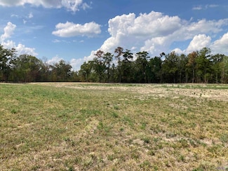 17164 Louisiana 933, Prairieville, LA 70769