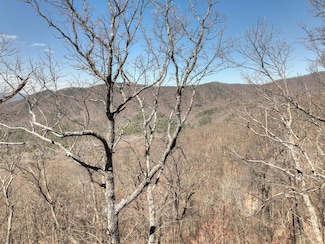 Lot 13 Wilderness Way, Ellijay, GA 30536
