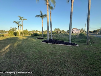 0 Fernleaf Dr Unit 2253584, Hernando Beach, FL 34607