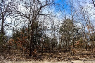 38 & 42 SW Lakeside Dr, Scott Township, KS 66040