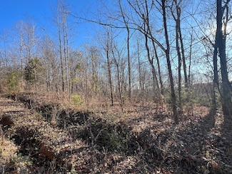 2 & 3 Spanns Ln, Somerset, KY 42501